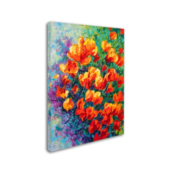 Marion Rose 'Cal Poppies' Canvas Art,14x19